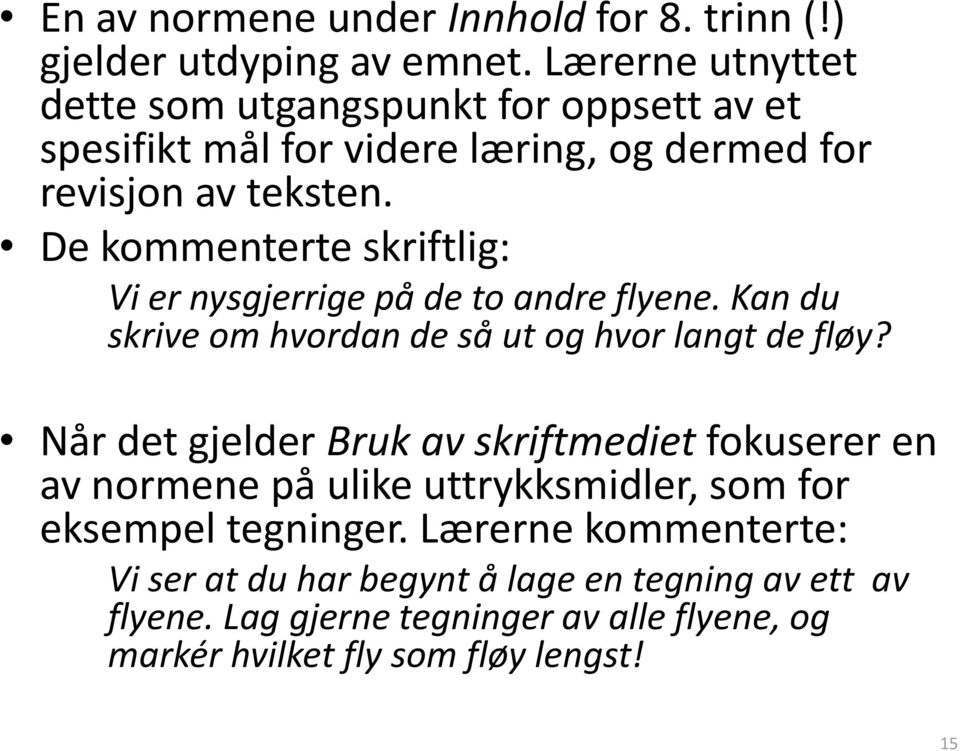 De kommenterte skriftlig: Vi er nysgjerrige på de to andre flyene. Kan du skrive om hvordan de så ut og hvor langt de fløy?