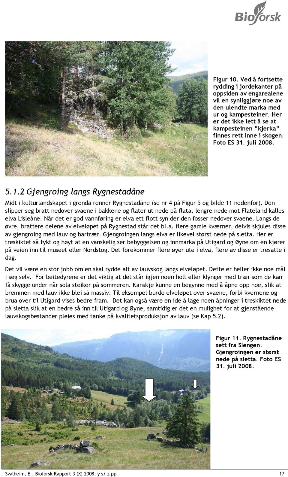 juli 2008. 5.1.2 Gjengroing langs Rygnestadåne Midt i kulturlandskapet i grenda renner Rygnestadåne (se nr 4 på Figur 5 og bilde 11 nedenfor).