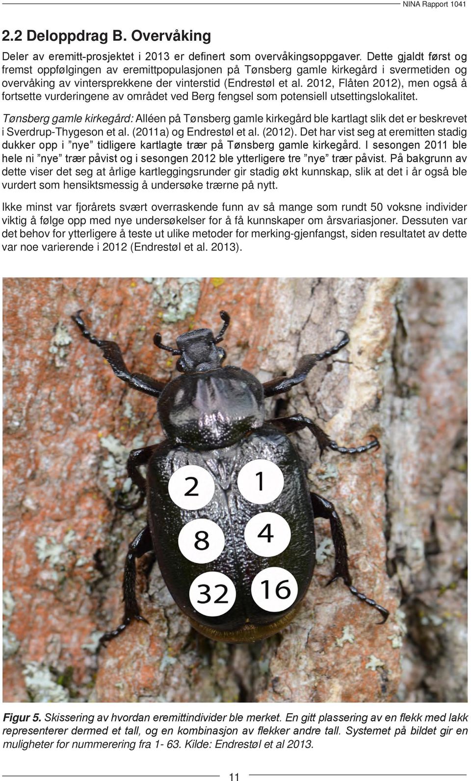 2012, Flåten 2012), men også å fortsette vurderingene av området ved Berg fengsel som potensiell utsettingslokalitet.