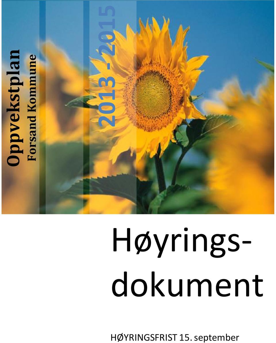 Høyringsdokument