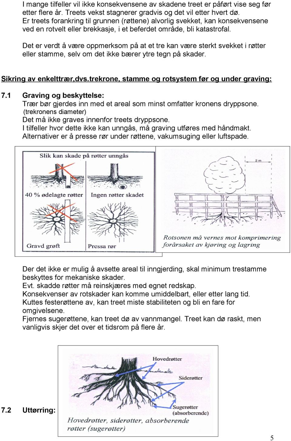 Det er verdt å være oppmerksom på at et tre kan være sterkt svekket i røtter eller stamme, selv om det ikke bærer ytre tegn på skader. Sikring av enkelttrær,dvs.