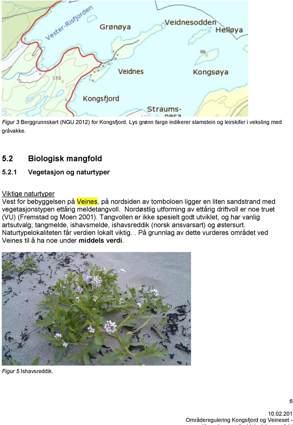 Nordøstlig utforming av ettårig driftvoll er noe truet (VU) (Fremstad og Moen 2001).