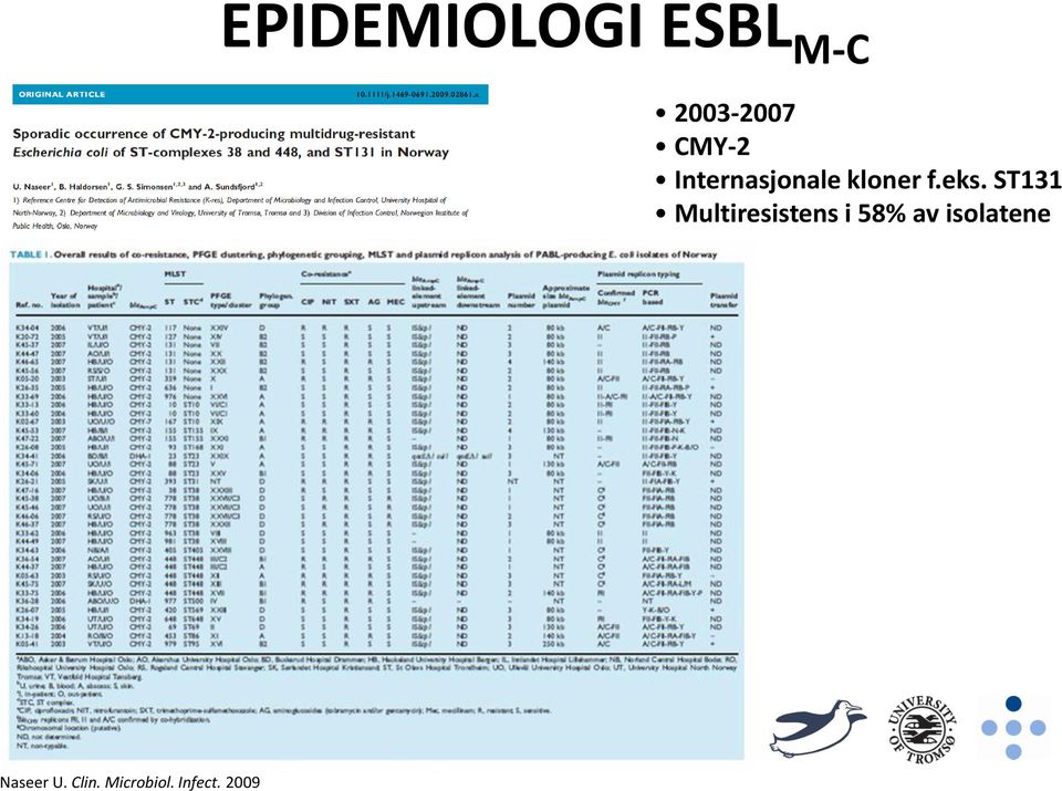 ST131 Multiresistens i 58% av