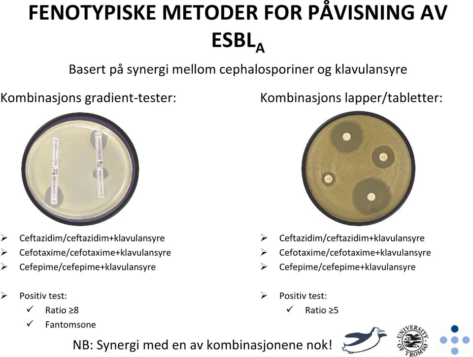 Cefotaxime/cefotaxime+klavulansyre Cefepime/cefepime+klavulansyre Ceftazidim/ceftazidim+klavulansyre