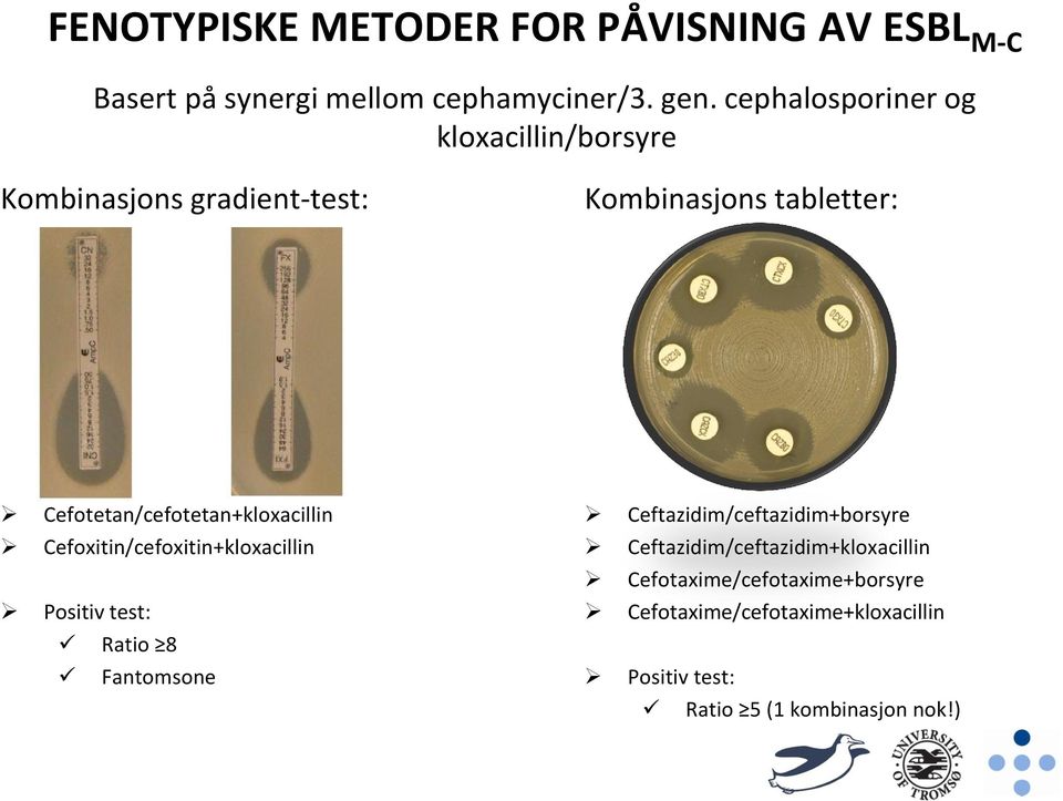 Cefotetan/cefotetan+kloxacillin Cefoxitin/cefoxitin+kloxacillin Positiv test: Ratio 8 Fantomsone