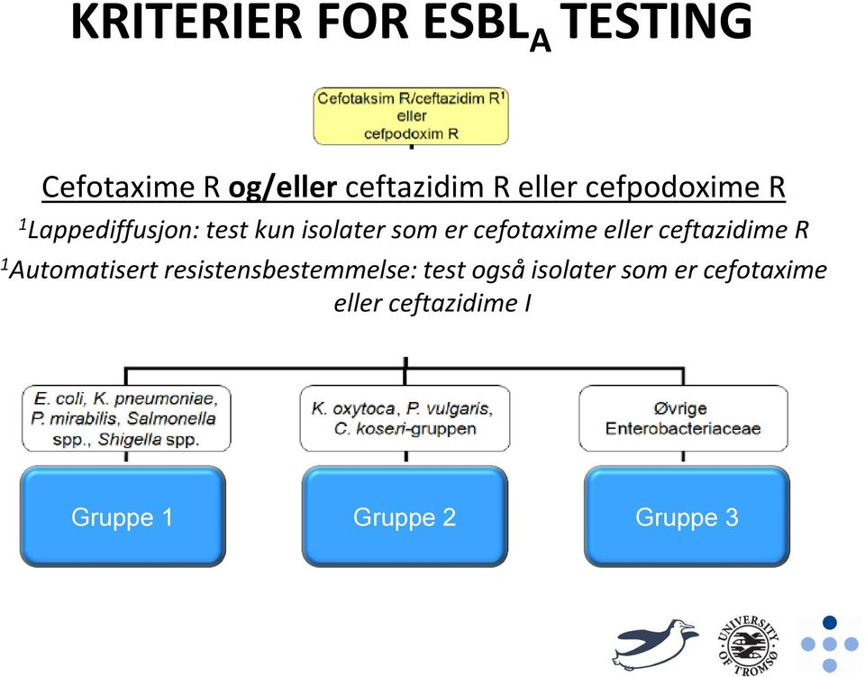 eller ceftazidime R 1 Automatisert resistensbestemmelse: test også