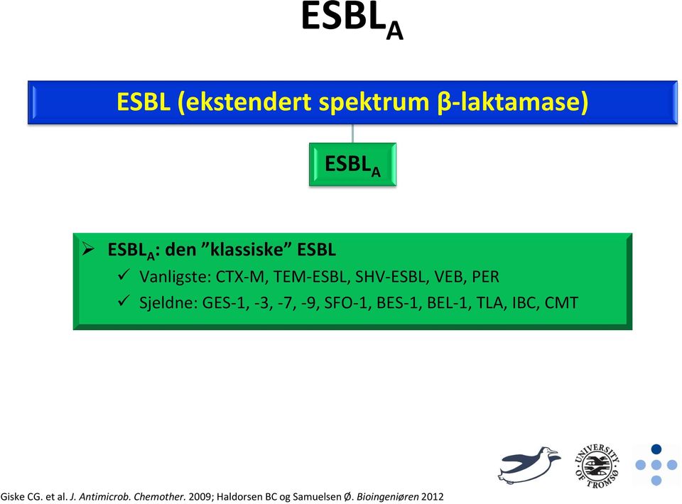 GES-1, -3, -7, -9, SFO-1, BES-1, BEL-1, TLA, IBC, CMT Giske CG. et al.