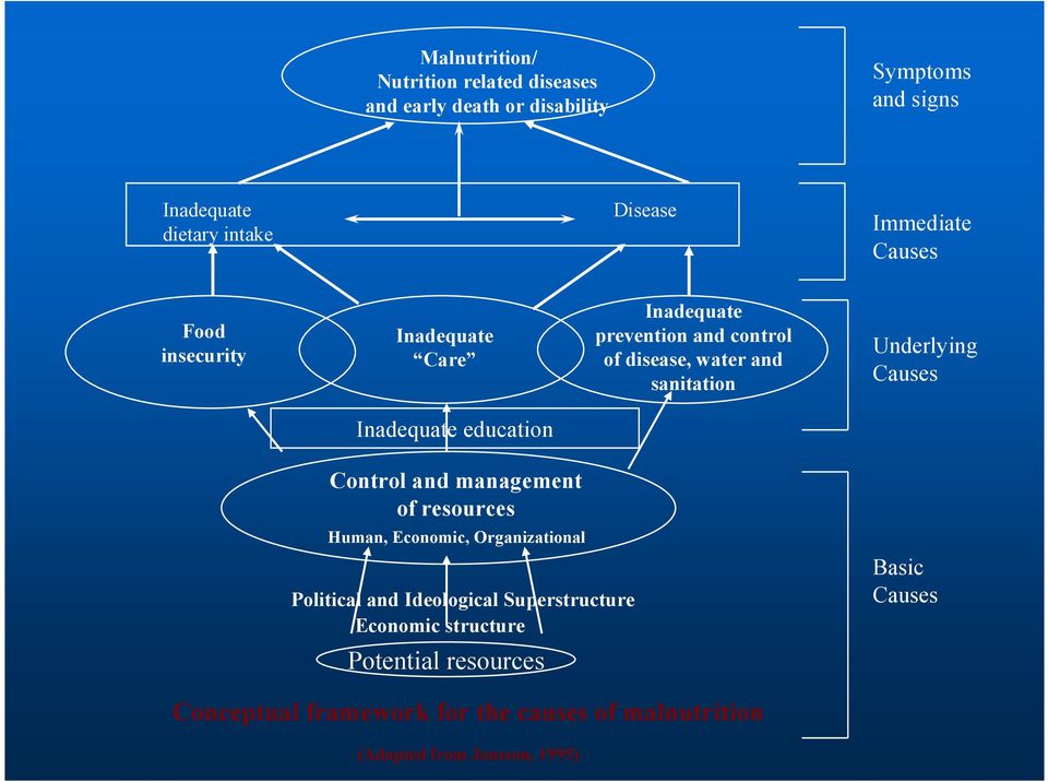 Causes Inadequate education Control and management of resources Human, Economic, Organizational Political and Ideological