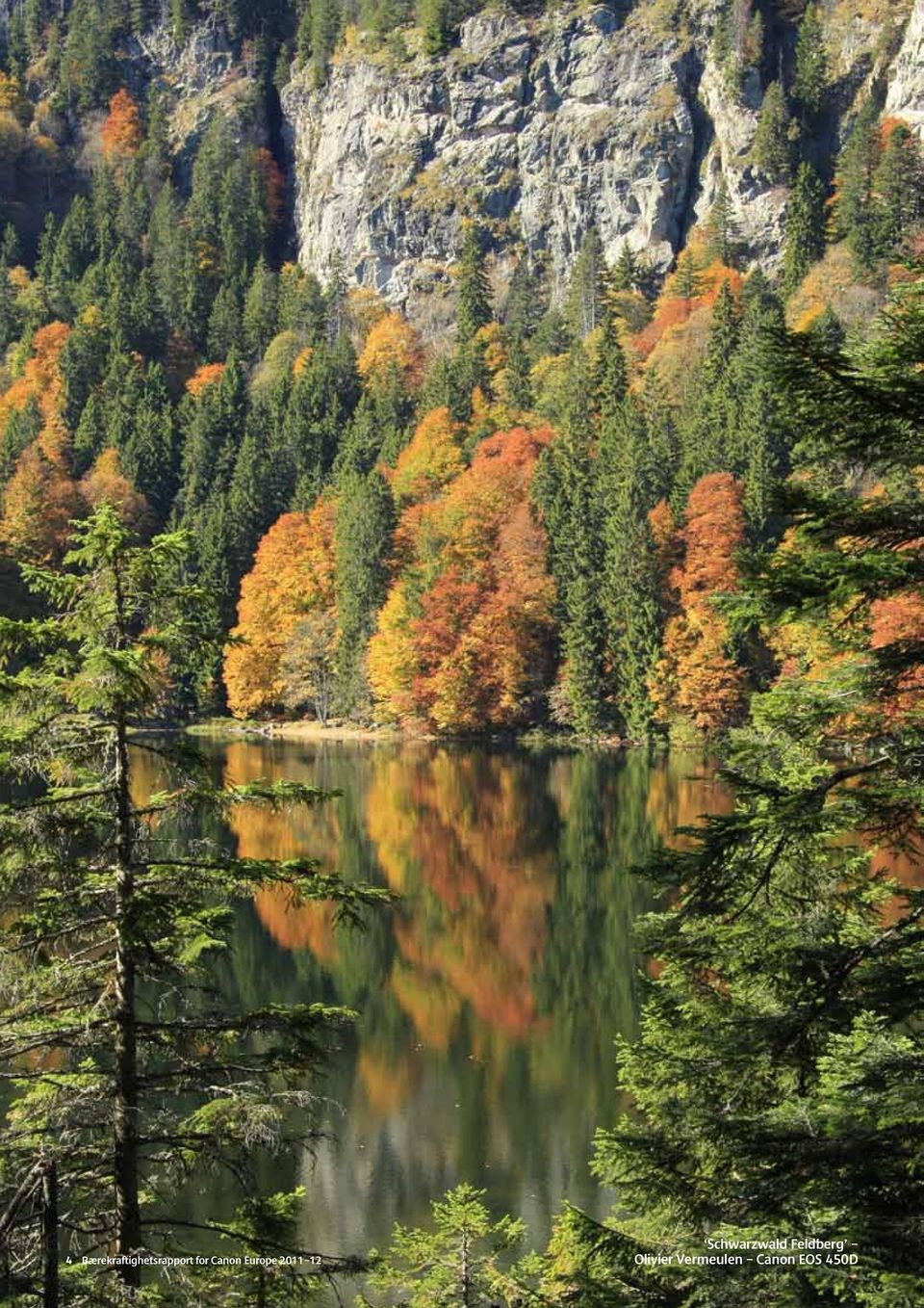 Schwarzwald Feldberg