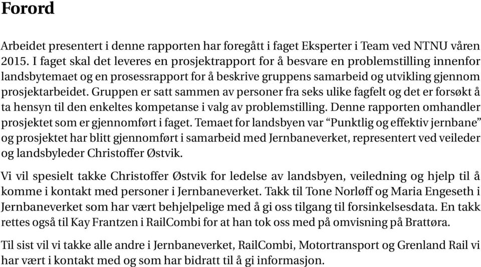 Gruppen er satt sammen av personer fra seks ulike fagfelt og det er forsøkt å ta hensyn til den enkeltes kompetanse i valg av problemstilling.