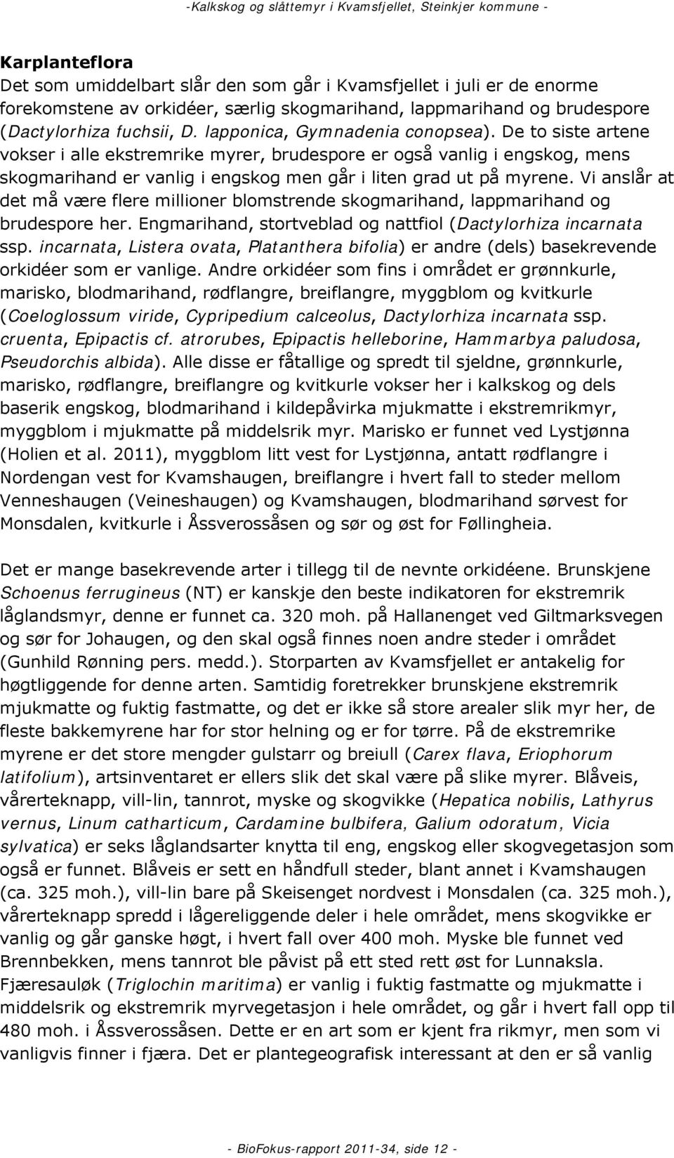 Vi anslår at det må være flere millioner blomstrende skogmarihand, lappmarihand og brudespore her. Engmarihand, stortveblad og nattfiol (Dactylorhiza incarnata ssp.