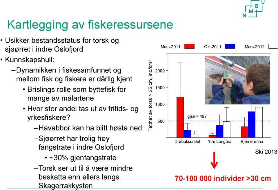 yrkesfiskere?