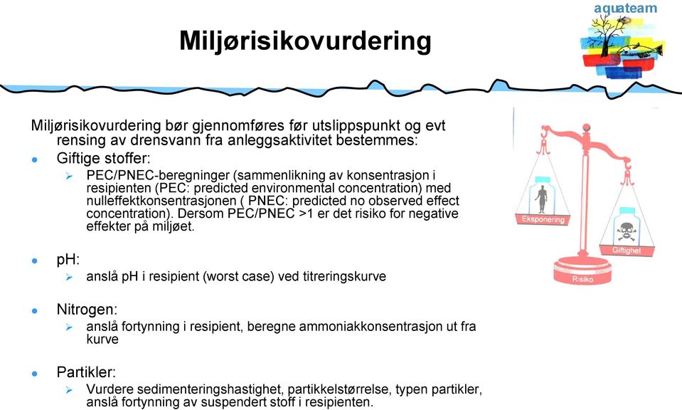 effect concentration). Dersom PEC/PNEC >1 er det risiko for negative effekter på miljøet.