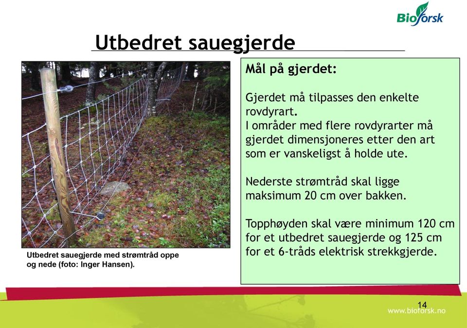 Nederste strømtråd skal ligge maksimum 20 cm over bakken.