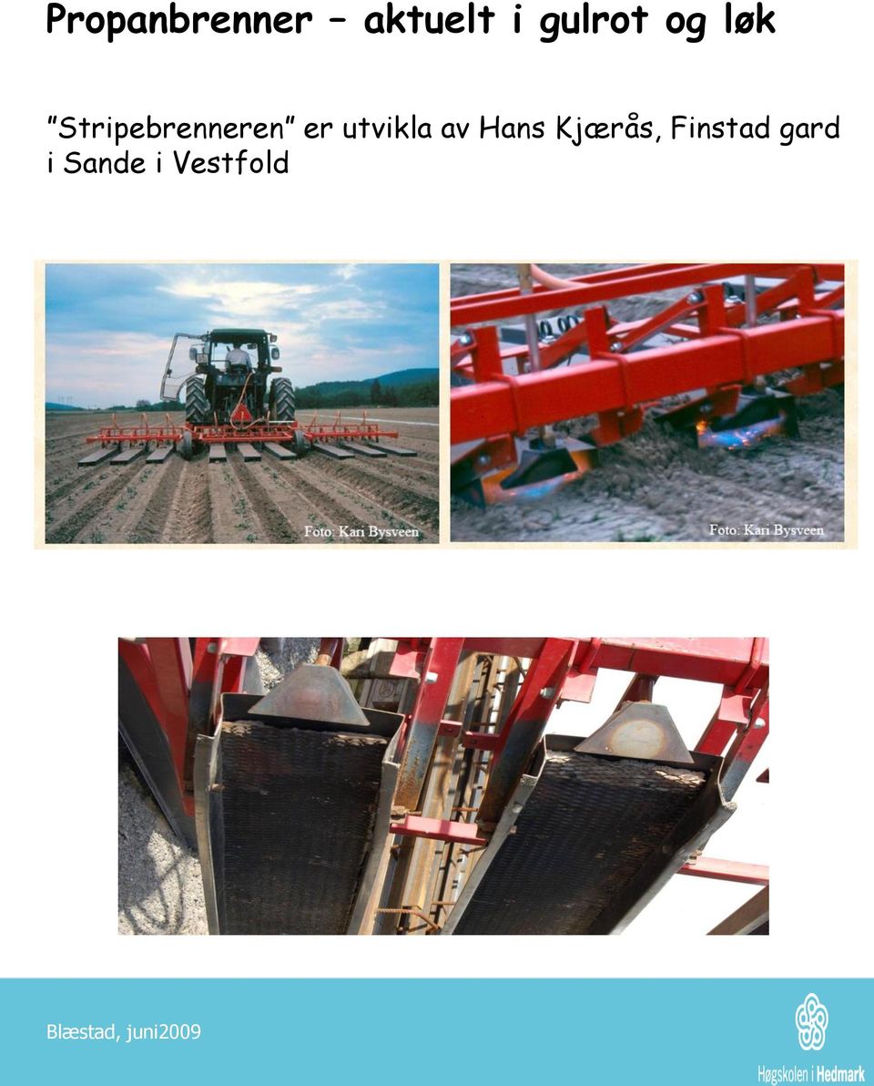 Stripebrenneren er utvikla