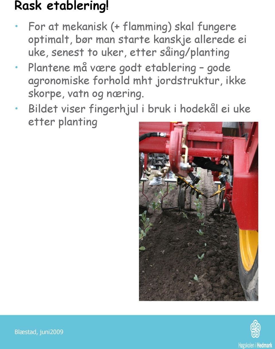 allerede ei uke, senest to uker, etter såing/planting Plantene må være godt