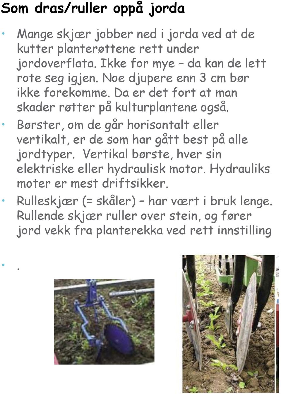 Børster, om de går horisontalt eller vertikalt, er de som har gått best på alle jordtyper.