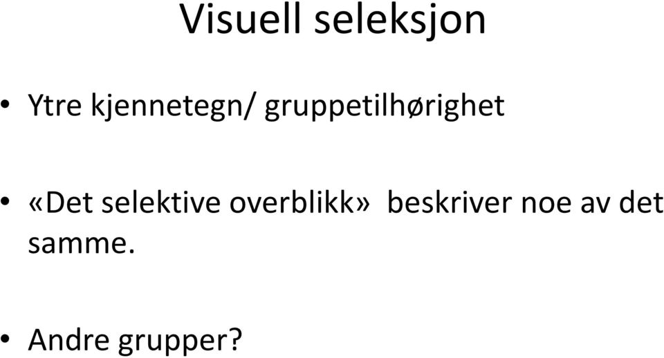 «Det selektive overblikk»