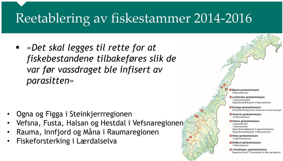 parasitten» Ogna og Figga i Steinkjerrregionen Vefsna, Fusta, Halsan og