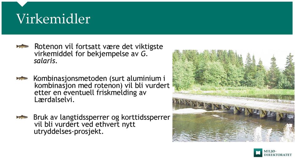 Kombinasjonsmetoden (surt aluminium i kombinasjon med rotenon) vil bli vurdert