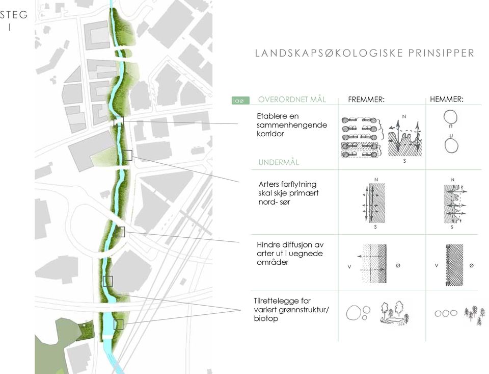 forflytning skal skje primært nord- sør n n s s Hindre diffusjon av