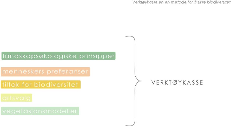 prinsipper menneskers preferanser tiltak