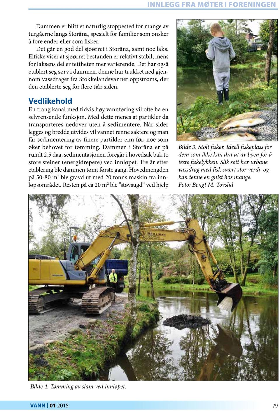 Det har også etablert seg sørv i dammen, denne har trukket ned gjennom vassdraget fra Stokkelandsvannet oppstrøms, der den etablerte seg for flere tiår siden.