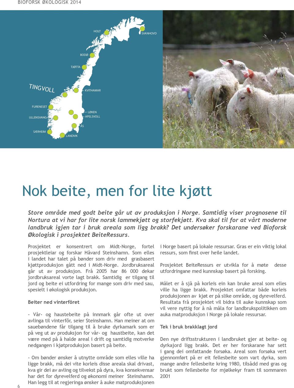 Det undersøker forskarane ved Bioforsk i prosjektet BeiteRessurs. 6 Prosjektet er konsentrert om Midt-Norge, fortel prosjektleiar og forskar Håvard Steinshamn.