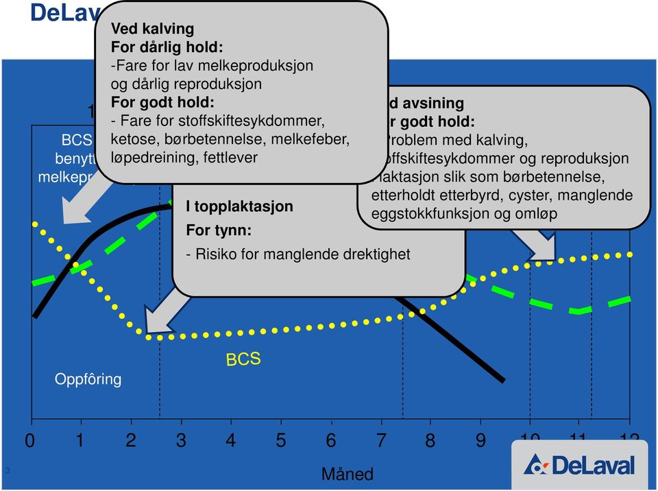 Bygge med kalving, opp Sinperiode stoffskiftesykdommer BCS verdi og reproduksjon i laktasjon for neste slik laktasjon som børbetennelse, etterholdt etterbyrd,