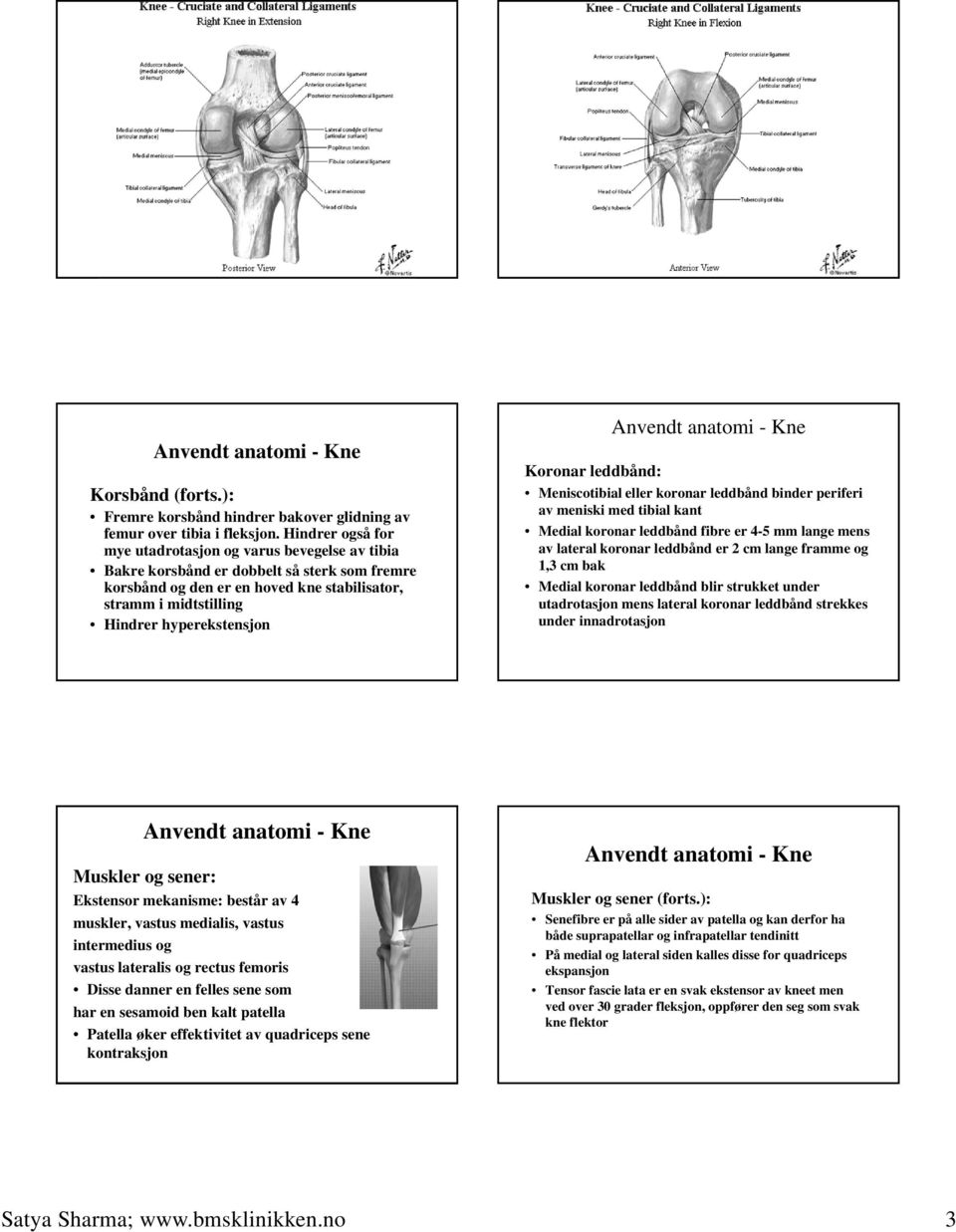 Koronar leddbånd: Meniscotibial eller koronar leddbånd binder periferi av meniski med tibial kant Medial koronar leddbånd fibre er 4-5 mm lange mens av lateral koronar leddbånd er 2 cm lange framme