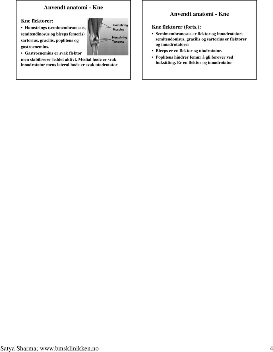 Medial hode er svak innadrotator mens lateral hode er svak utadrotator Kne flektorer (forts.