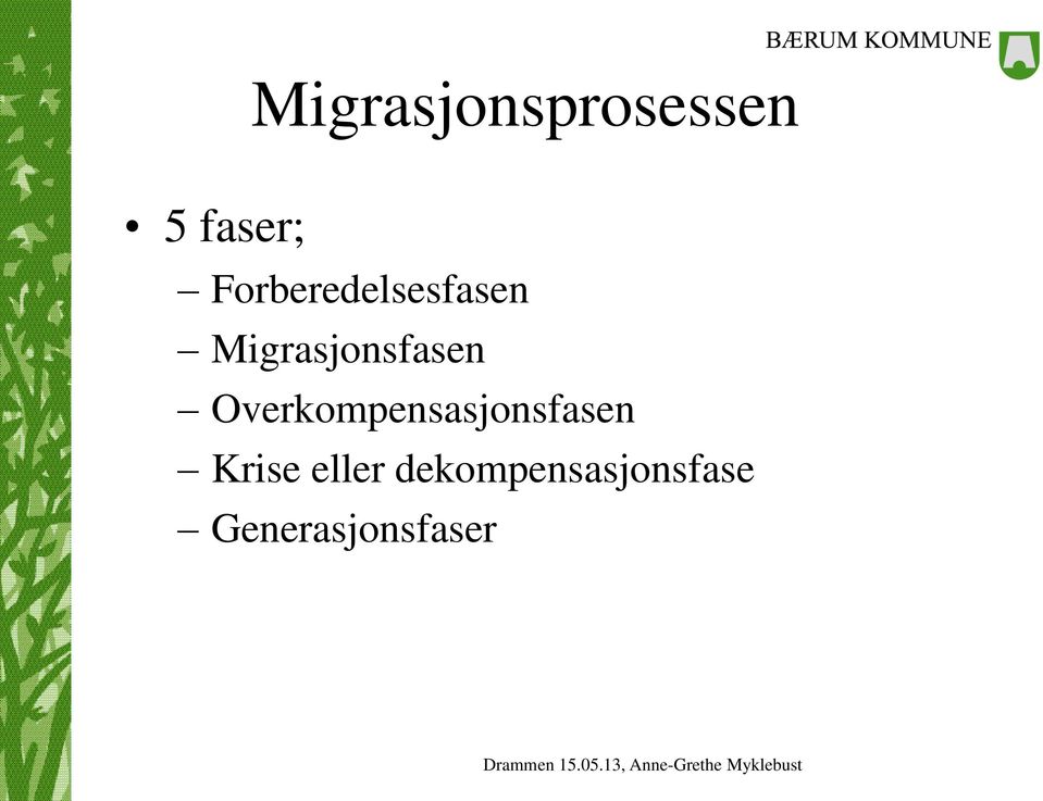 Migrasjonsfasen