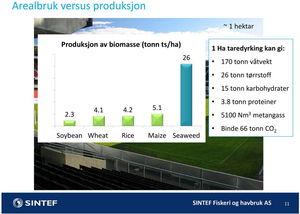 3 Soybean Wheat Rice Maize Seaweed ~1 hektar 1 Ha taredyrking kan gi: