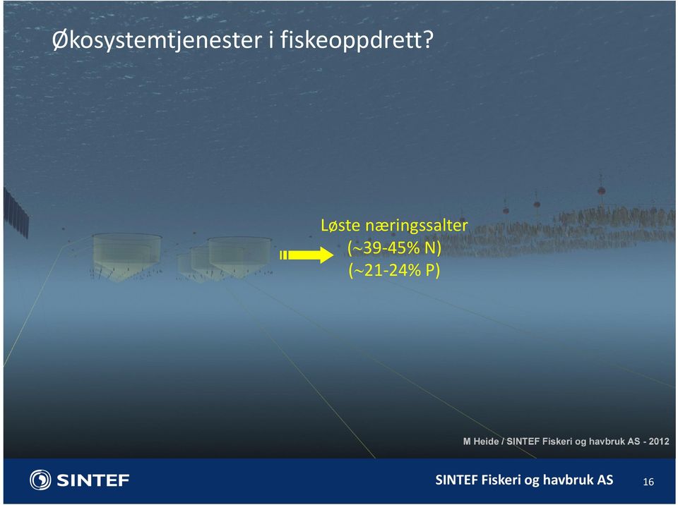 Løste næringssalter