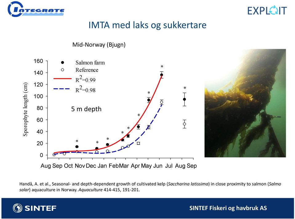 98 100 80 5 m depth 60 40 20 * * * * * * * * * 0 Aug Sep Oct Nov Dec Jan Feb Mar Apr May Jun Jul Aug Sep