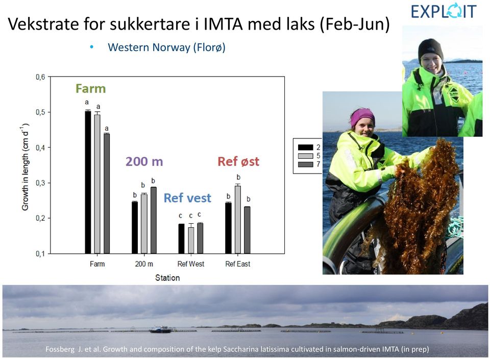 Growth and composition of the kelp Saccharina