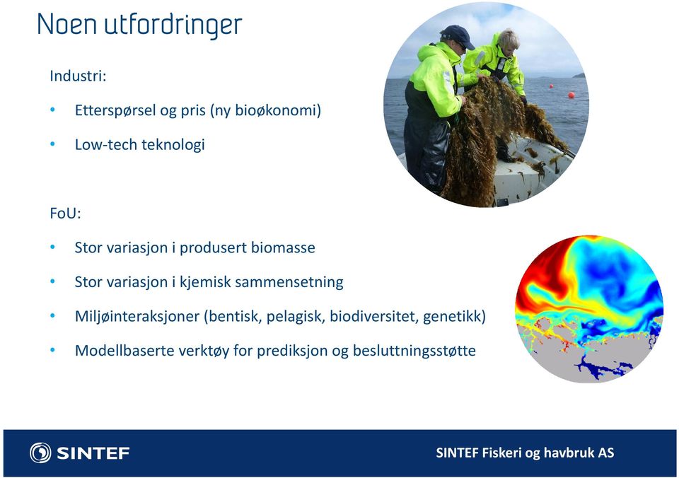 i kjemisk sammensetning Miljøinteraksjoner (bentisk, pelagisk,