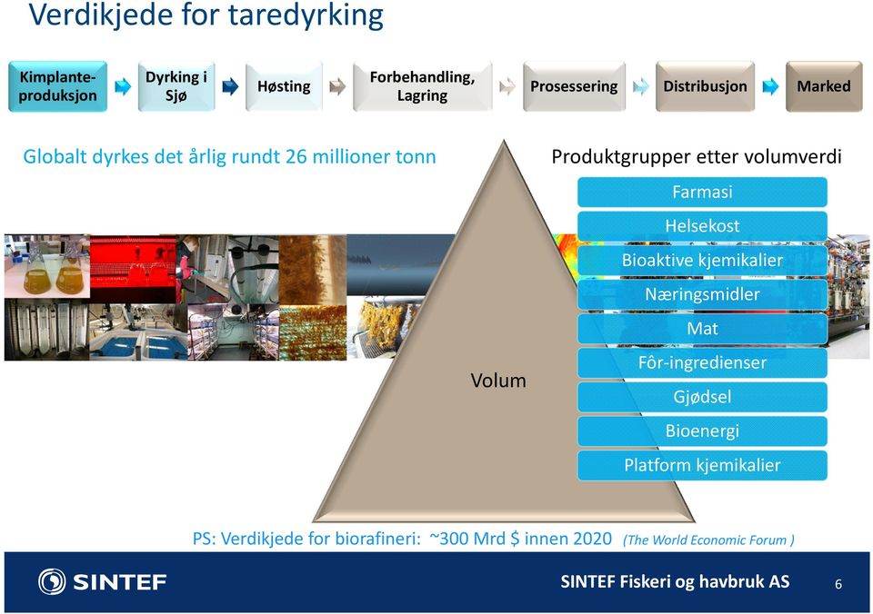 Helsekost Bioaktive kjemikalier Næringsmidler Mat Fôr ingredienser Volum Gjødsel Bioenergi Platform