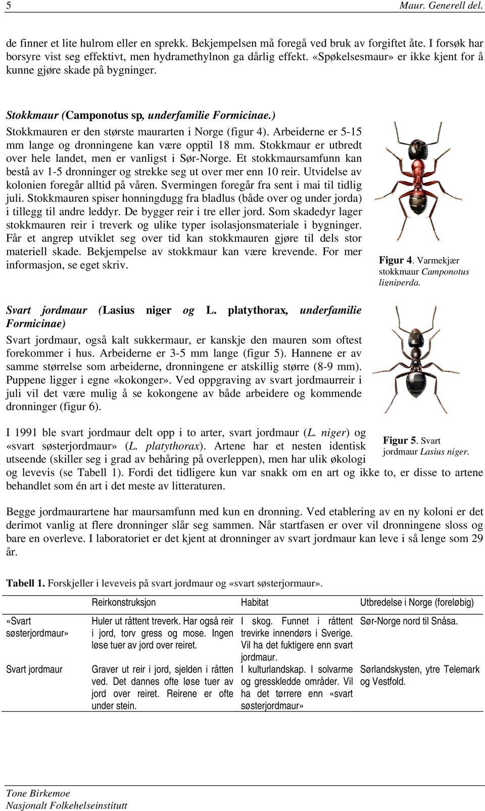 Arbeiderne er 5-15 mm lange og dronningene kan være opptil 18 mm. Stokkmaur er utbredt over hele landet, men er vanligst i Sør-Norge.