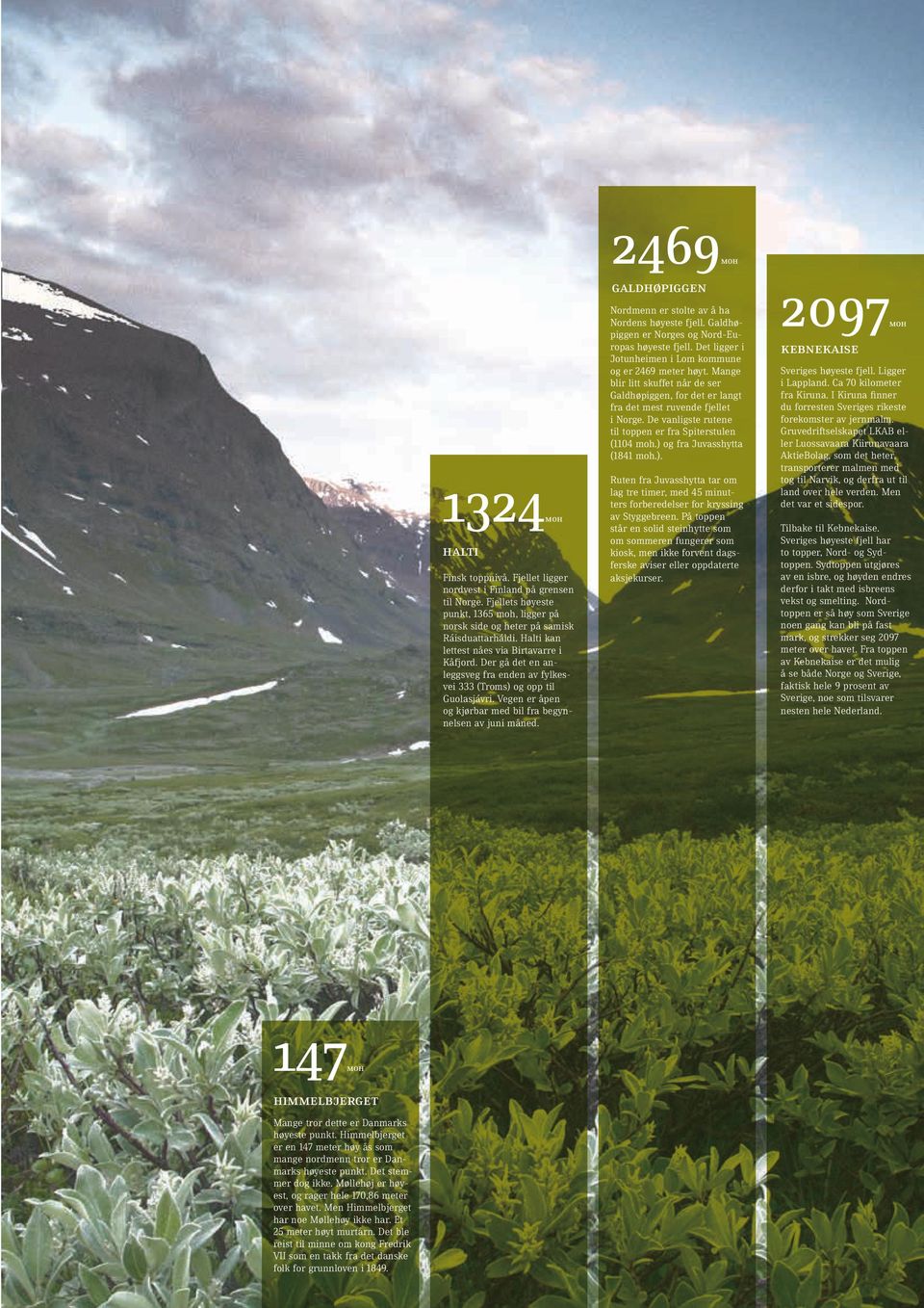 Der gå det en anleggsveg fra enden av fylkesvei 333 (Troms) og opp til Guolasjávri. Vegen er åpen og kjørbar med bil fra begynnelsen av juni måned. Nordmenn er stolte av å ha Nordens høyeste fjell.