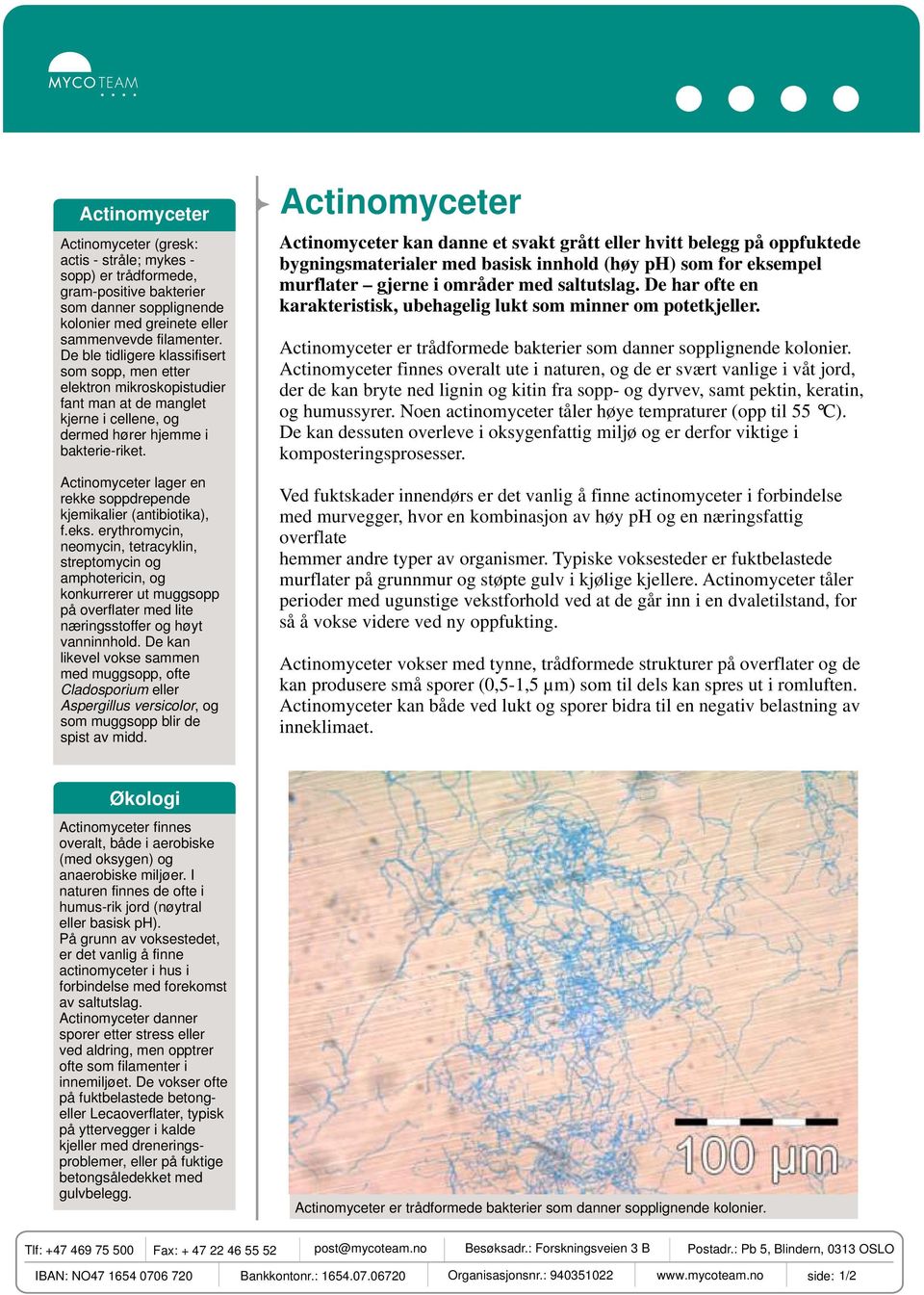 Actinomyceter lager en rekke soppdrepende kjemikalier (antibiotika), f.eks.