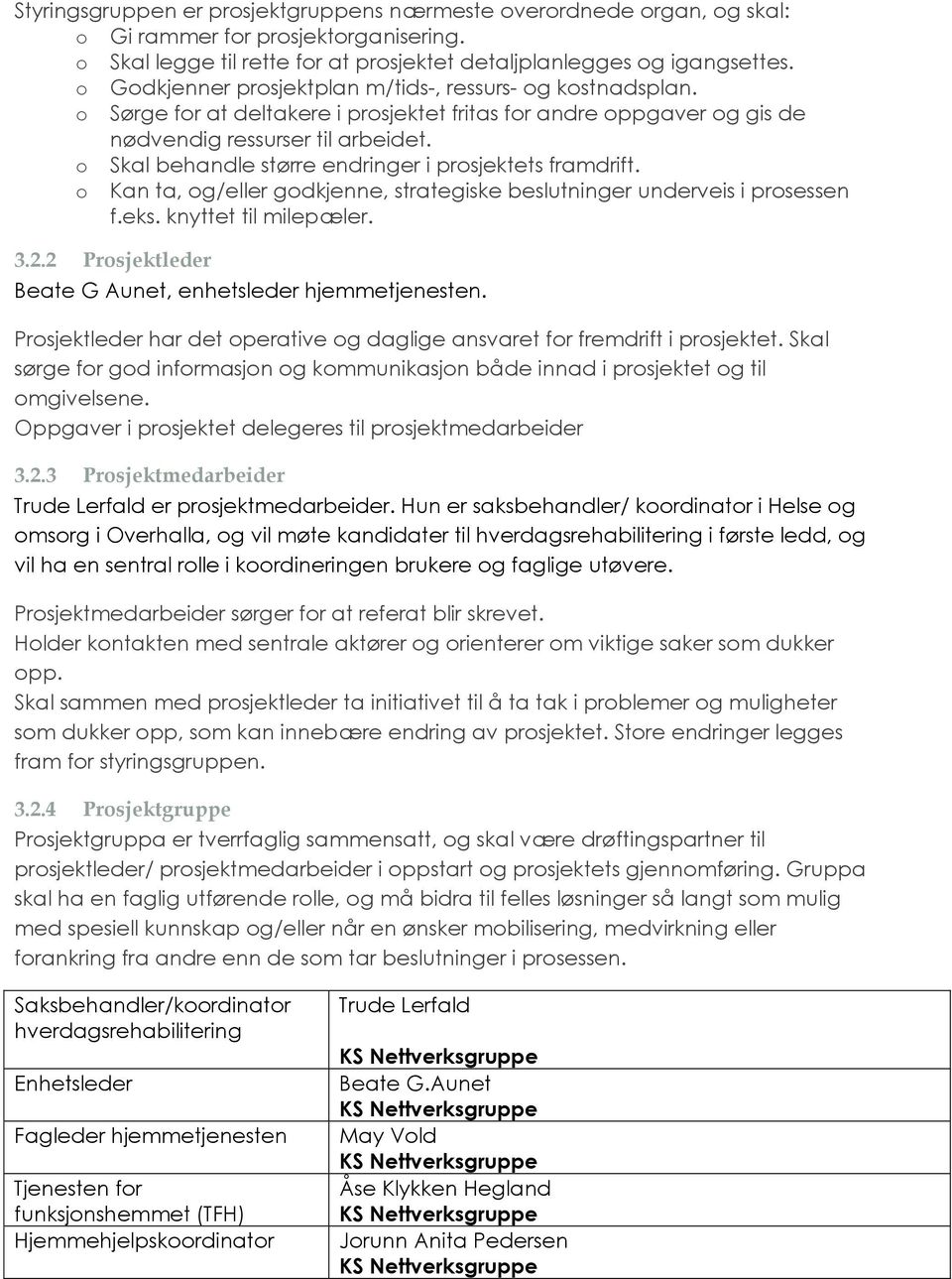 o Skal behandle større endringer i prosjektets framdrift. o Kan ta, og/eller godkjenne, strategiske beslutninger underveis i prosessen f.eks. knyttet til milepæler. 3.2.