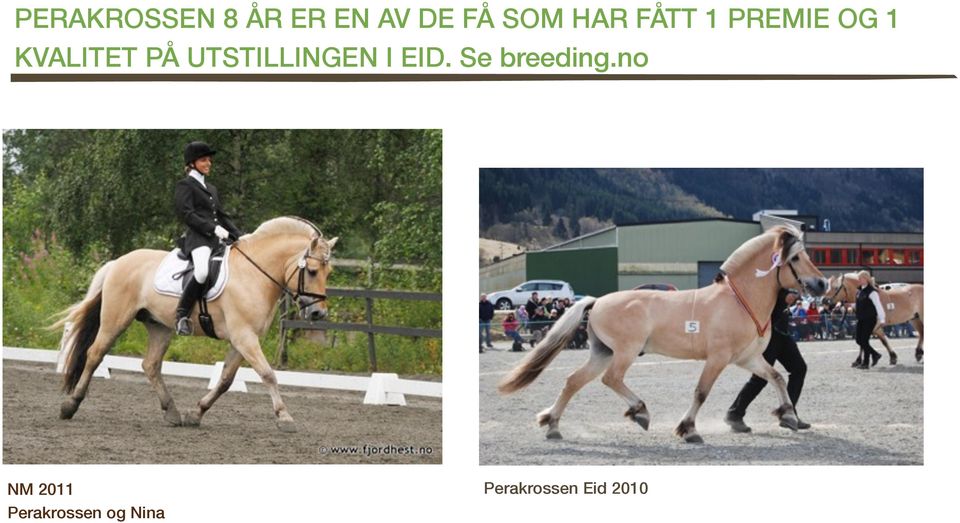 UTSTILLINGEN I EID. Se breeding.