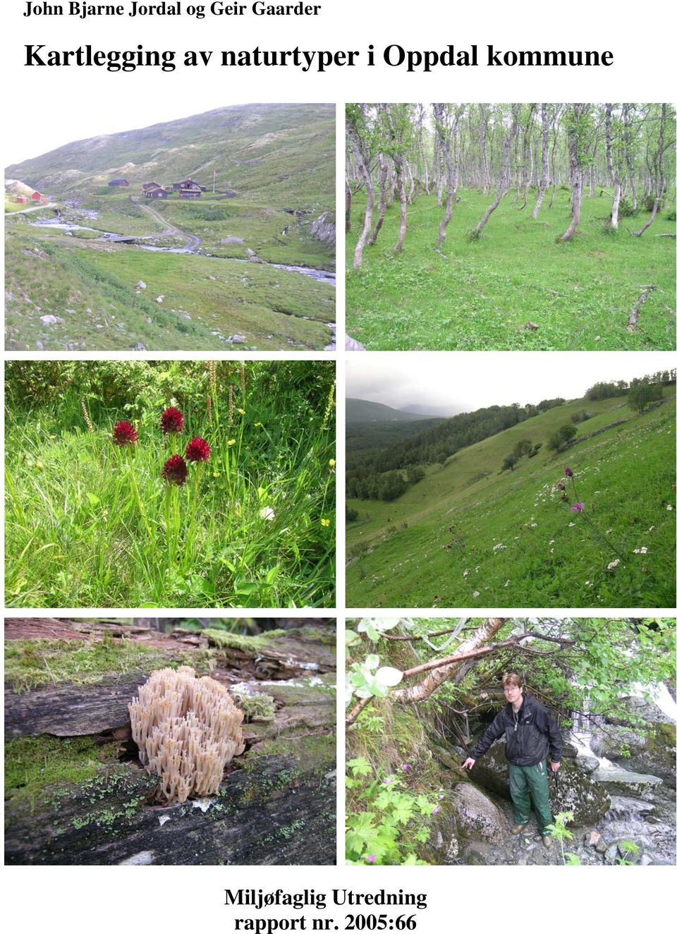 naturtyper i Oppdal kommune