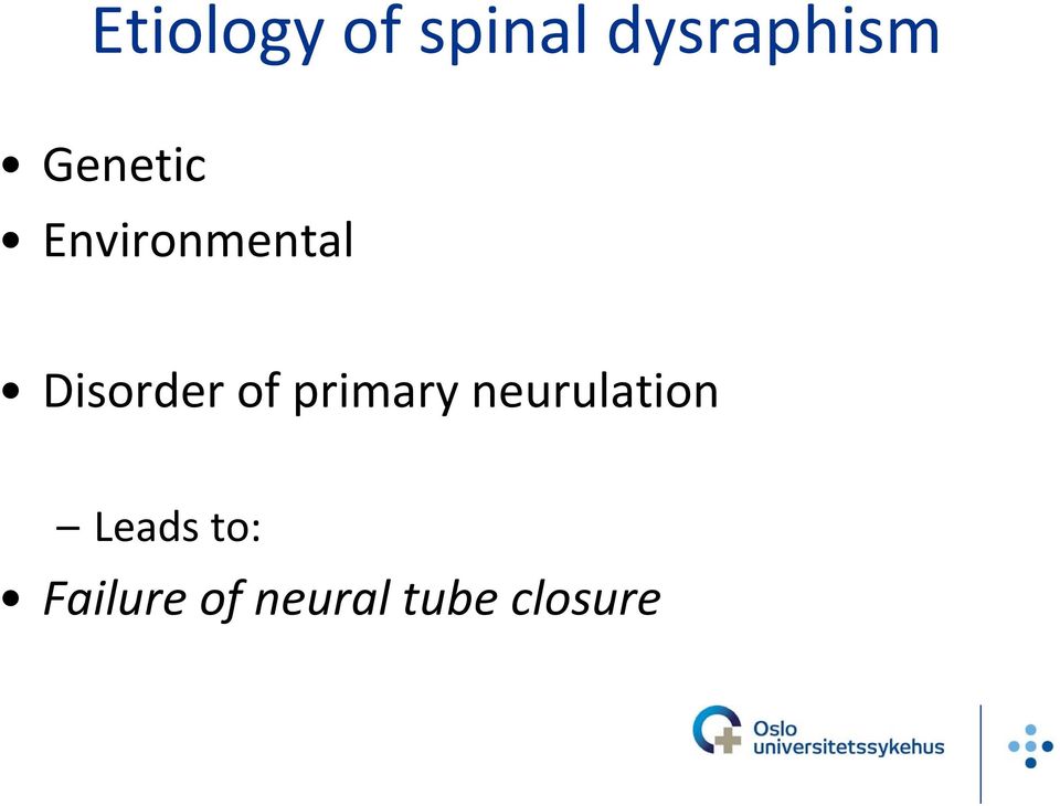 of primary neurulation Leads