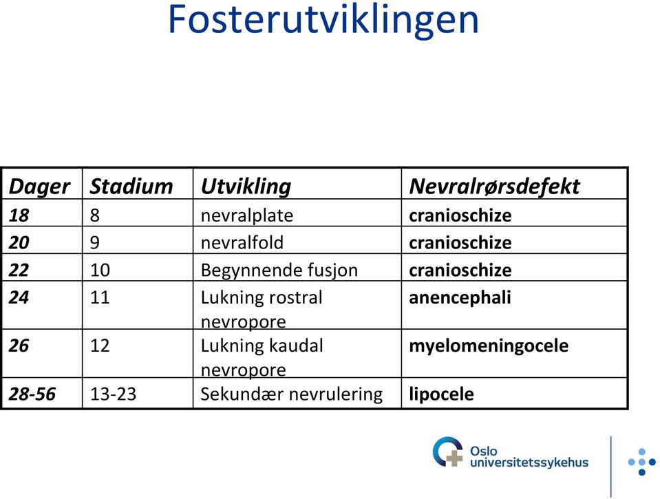 fusjon cranioschize 24 11 Lukning rostral anencephali nevropore 26 12