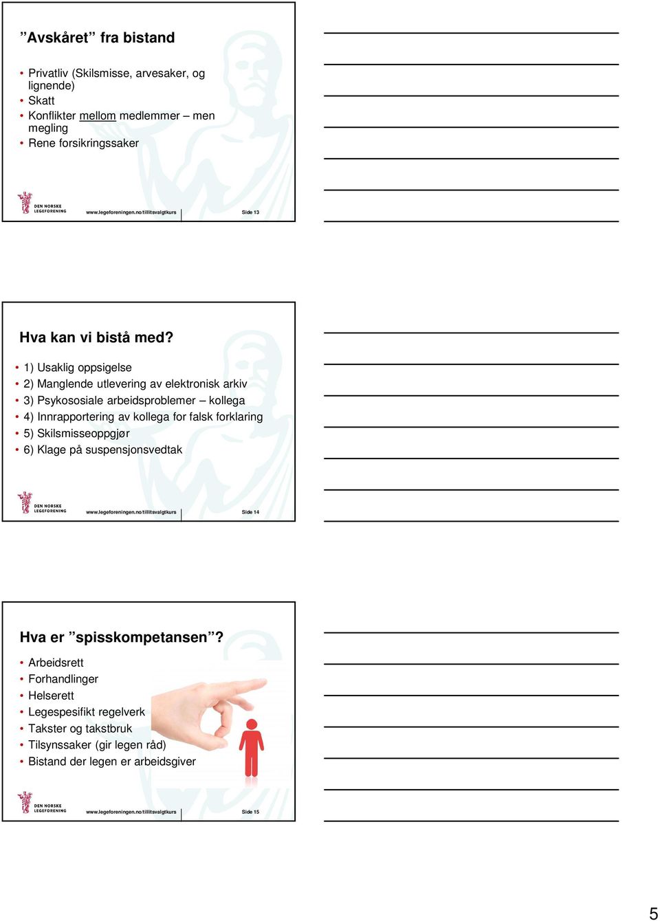 1) Usaklig oppsigelse 2) Manglende utlevering av elektronisk arkiv 3) Psykososiale arbeidsproblemer kollega 4) Innrapportering av kollega for falsk forklaring 5)