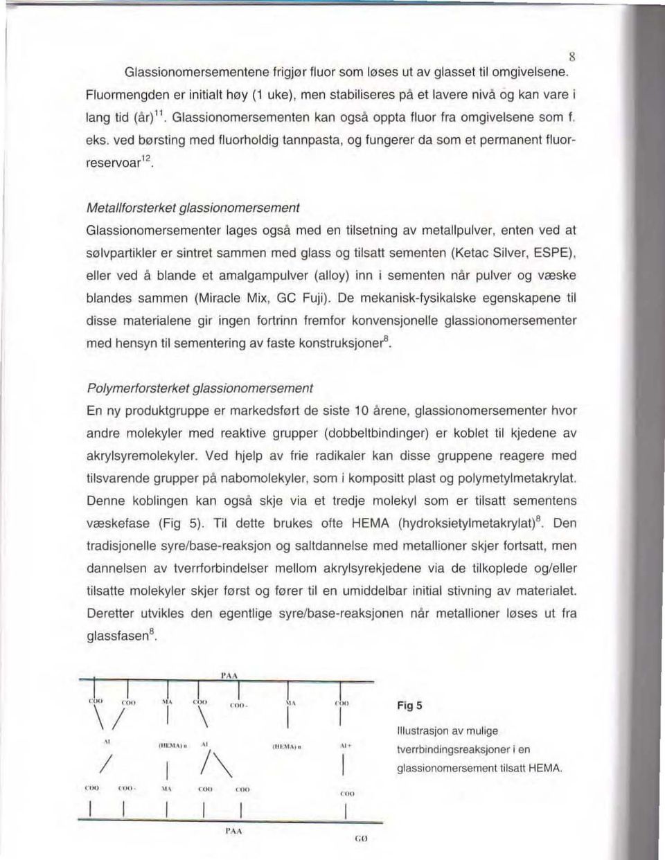 ved børsting med fluorholdig tannpasta, og fungerer da som et permanent fluorreservoar 12, Metal/forsterket glassionomersement Glassionomersementer lages også med en tilsetning av metallpulver, enten