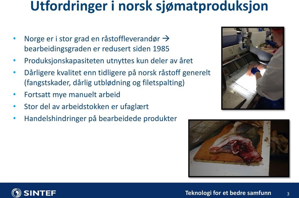 Dårligere kvalitet enn tidligere på norsk råstoff generelt (fangstskader, dårlig utblødning og