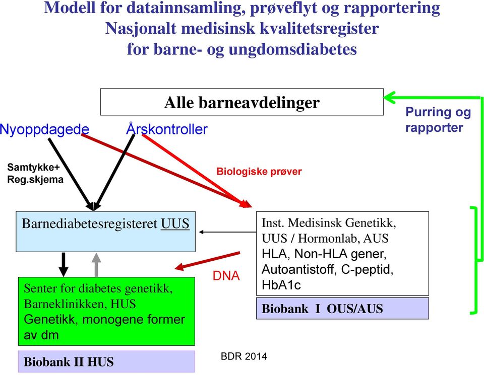 skjema Biologiske prøver Barnediabetesregisteret UUS Senter for diabetes genetikk, Barneklinikken, HUS Genetikk,